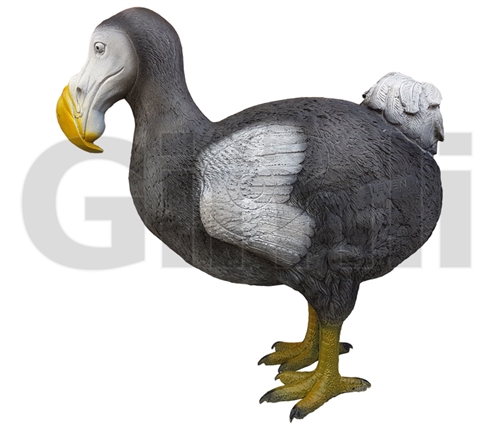 Eleven 3D Target Dodo